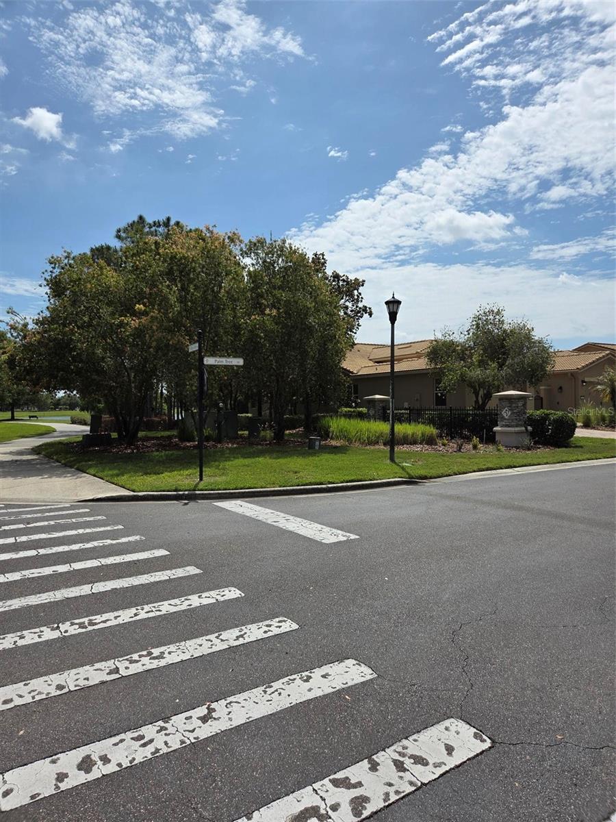 2310 Palm Tree Drive, FL