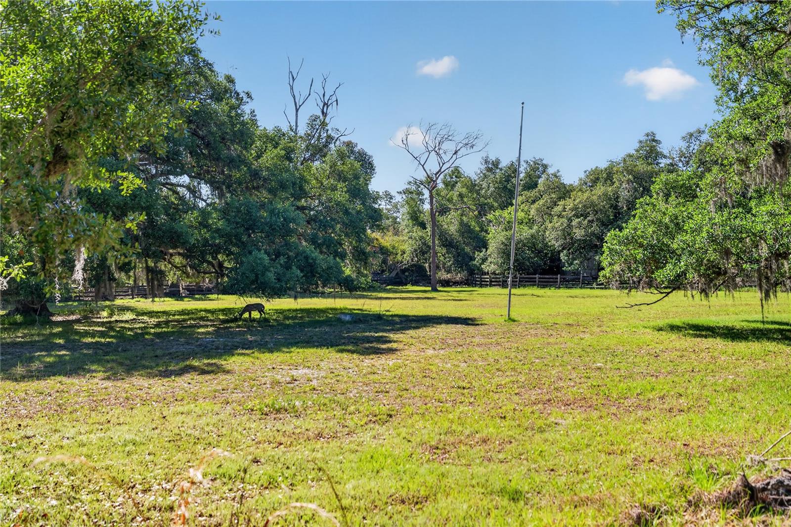 3711 Hidden River Road, FL