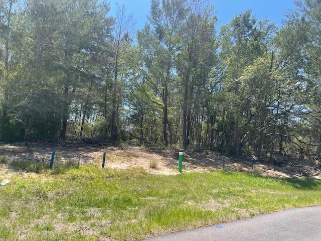 1342 Homosassa Drive, FL