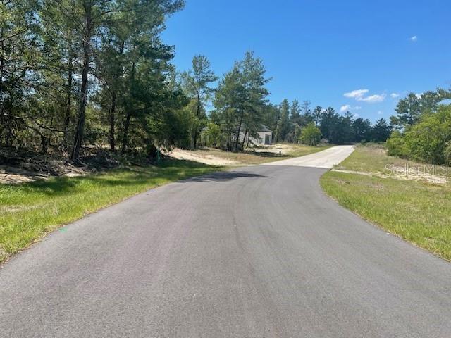 1342 Homosassa Drive, FL