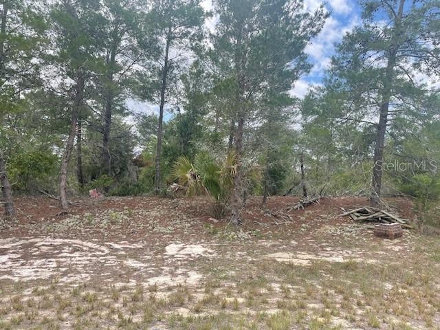 1342 Homosassa Drive, FL