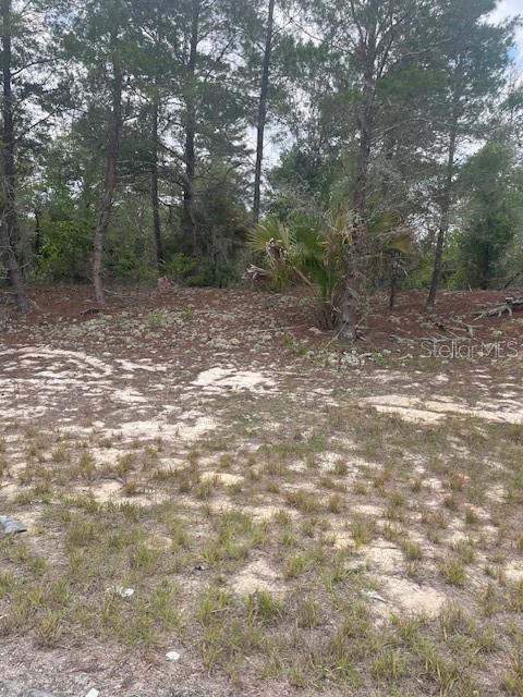 1342 Homosassa Drive, FL