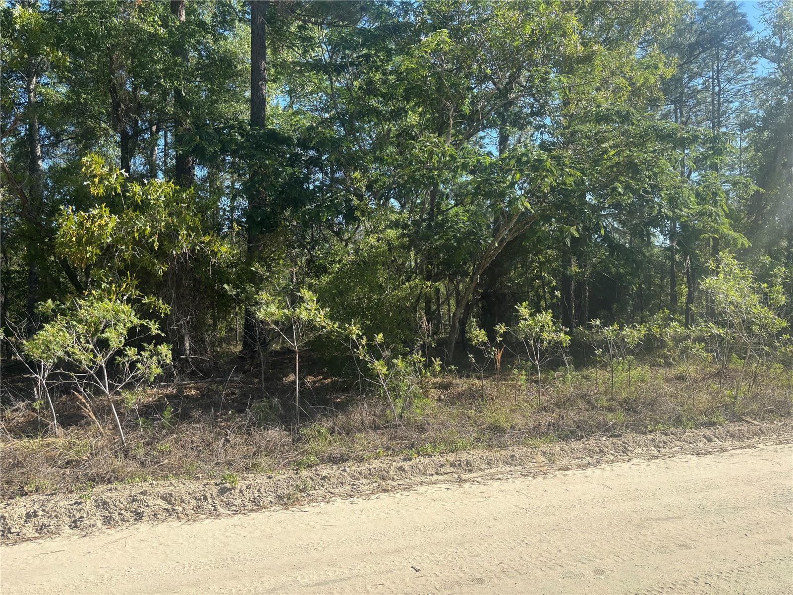 0000 8th Place, FL