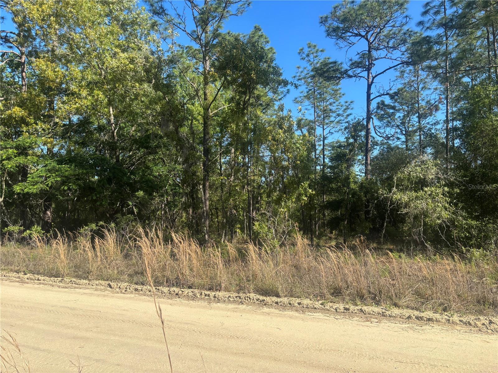 0000 8th Place, FL