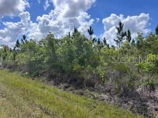 115 Japonica Avenue, FL