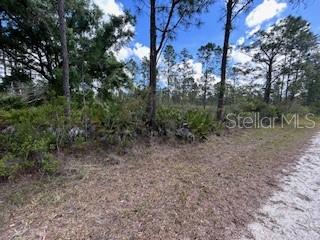 622 Laguna Drive, FL