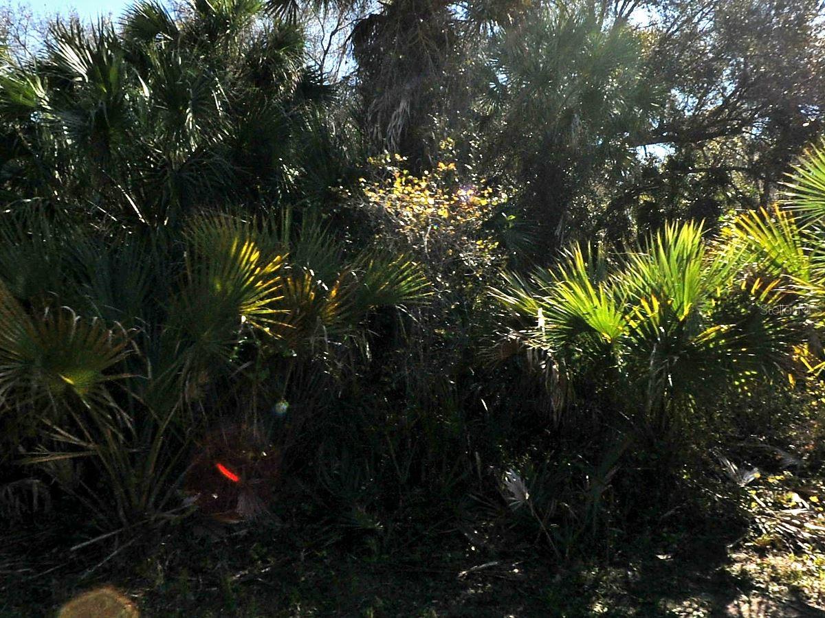 Lakeport Street, FL