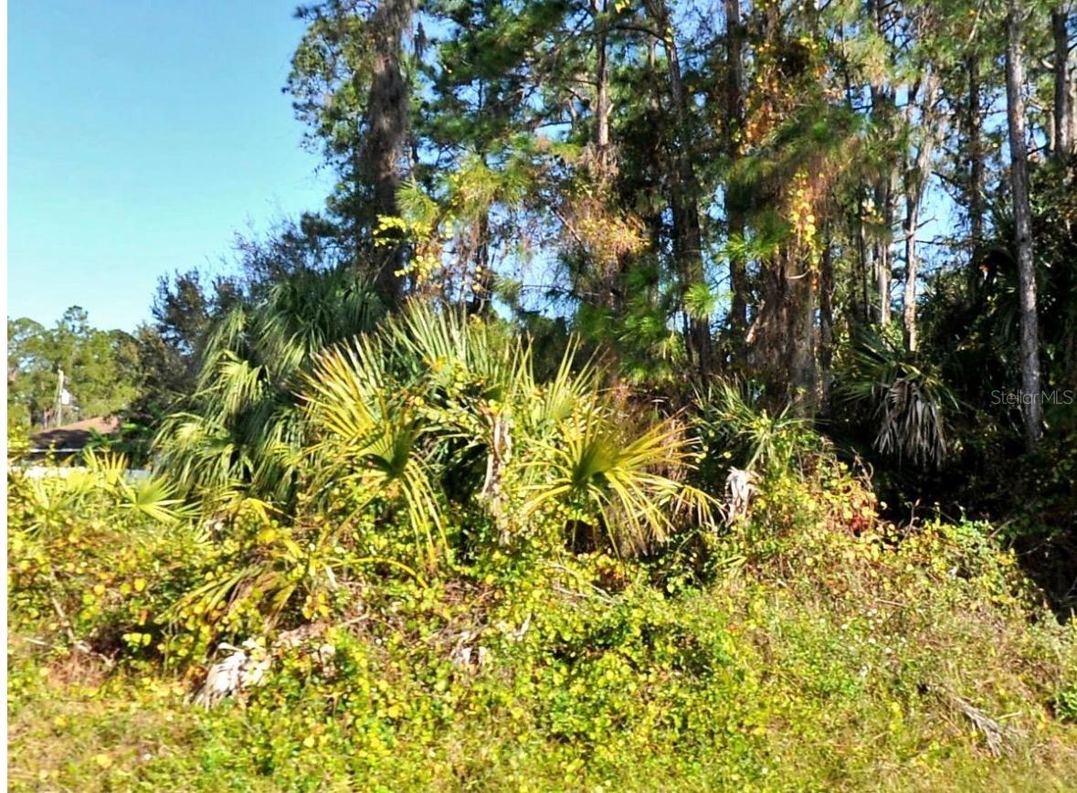 Zambrana Avenue, FL