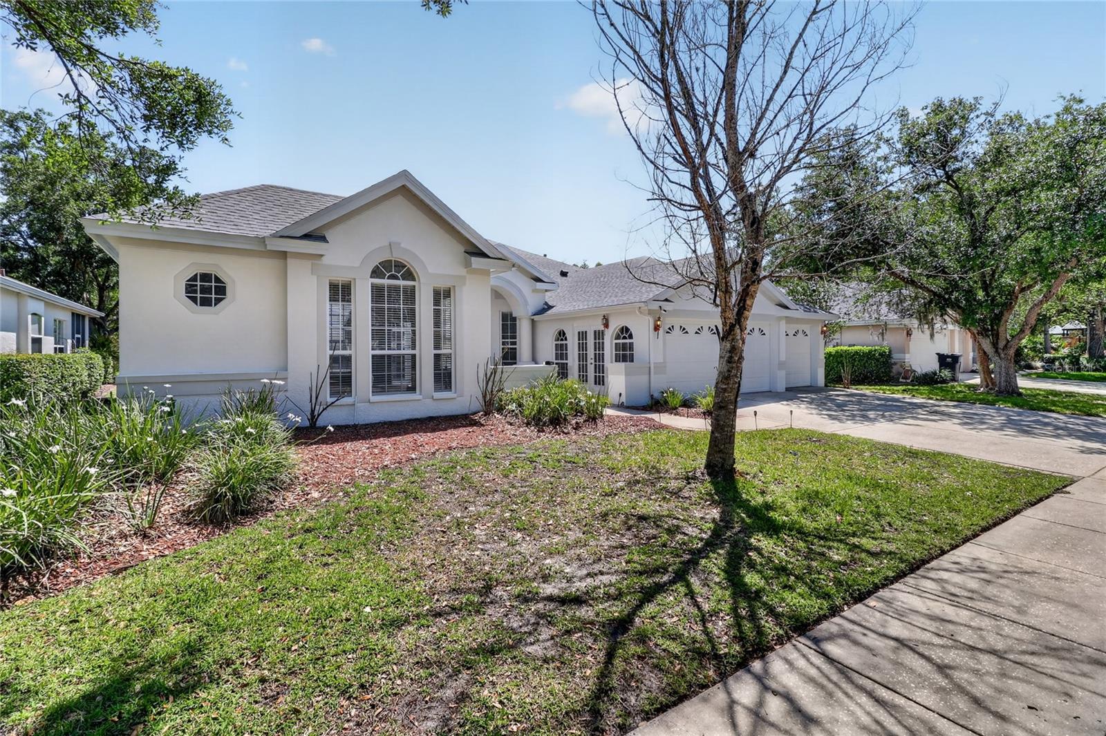 10206 Shadow Branch Drive, FL