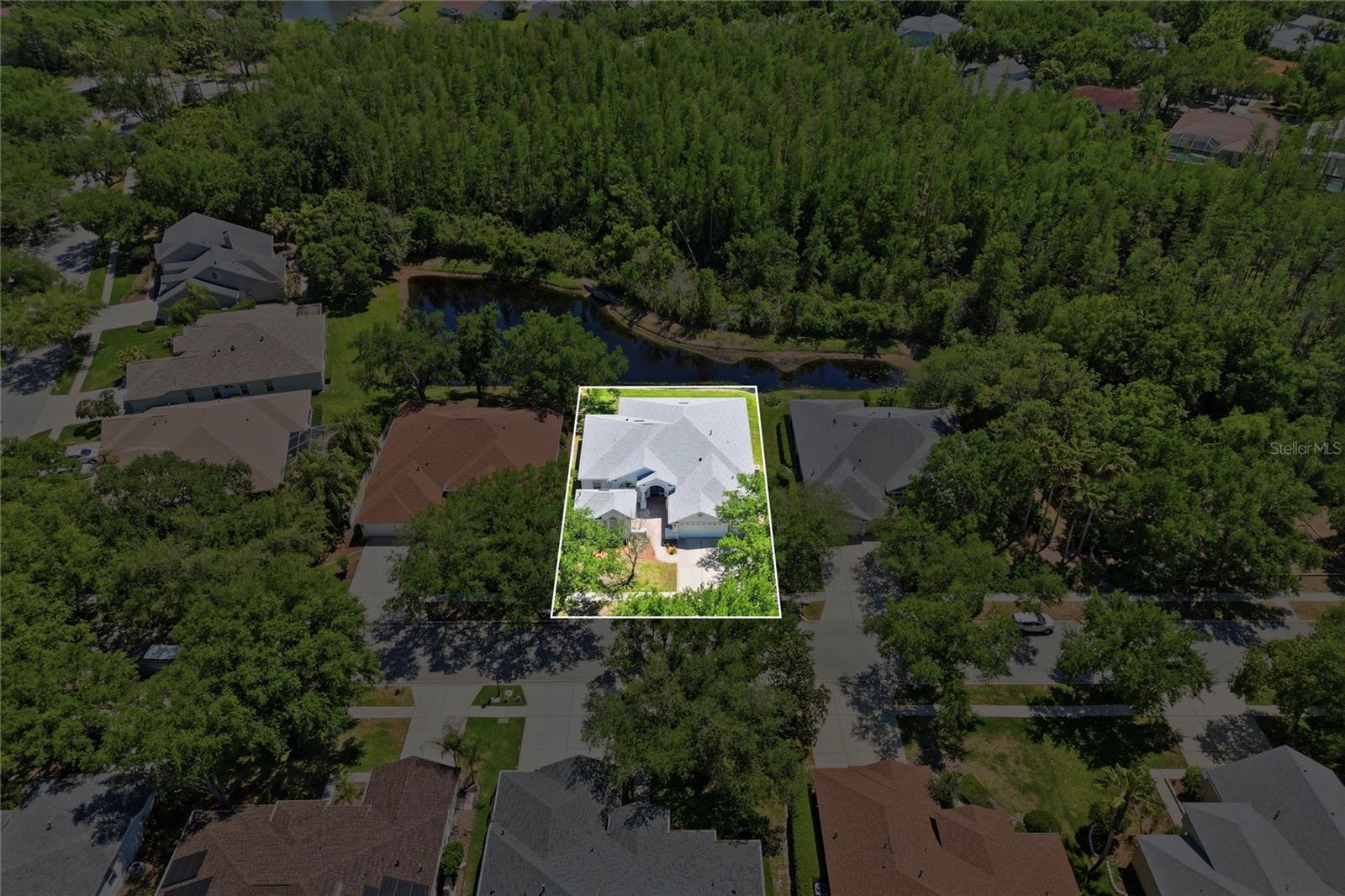 10206 Shadow Branch Drive, FL