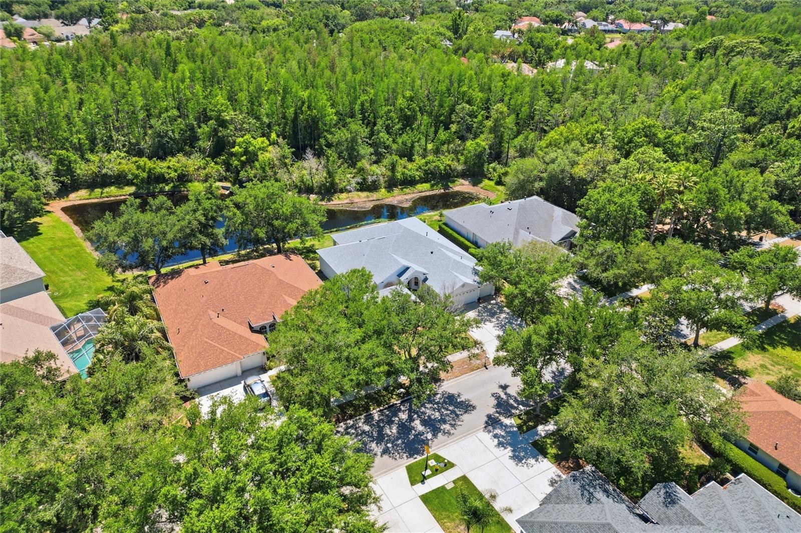 10206 Shadow Branch Drive, FL