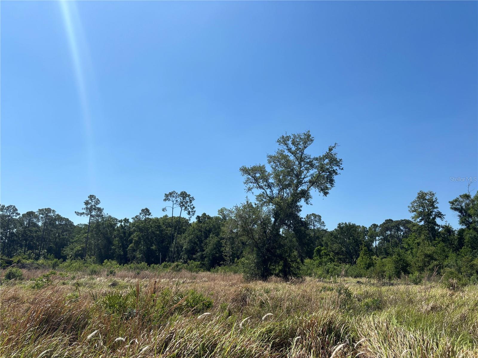 Avonwood, FL