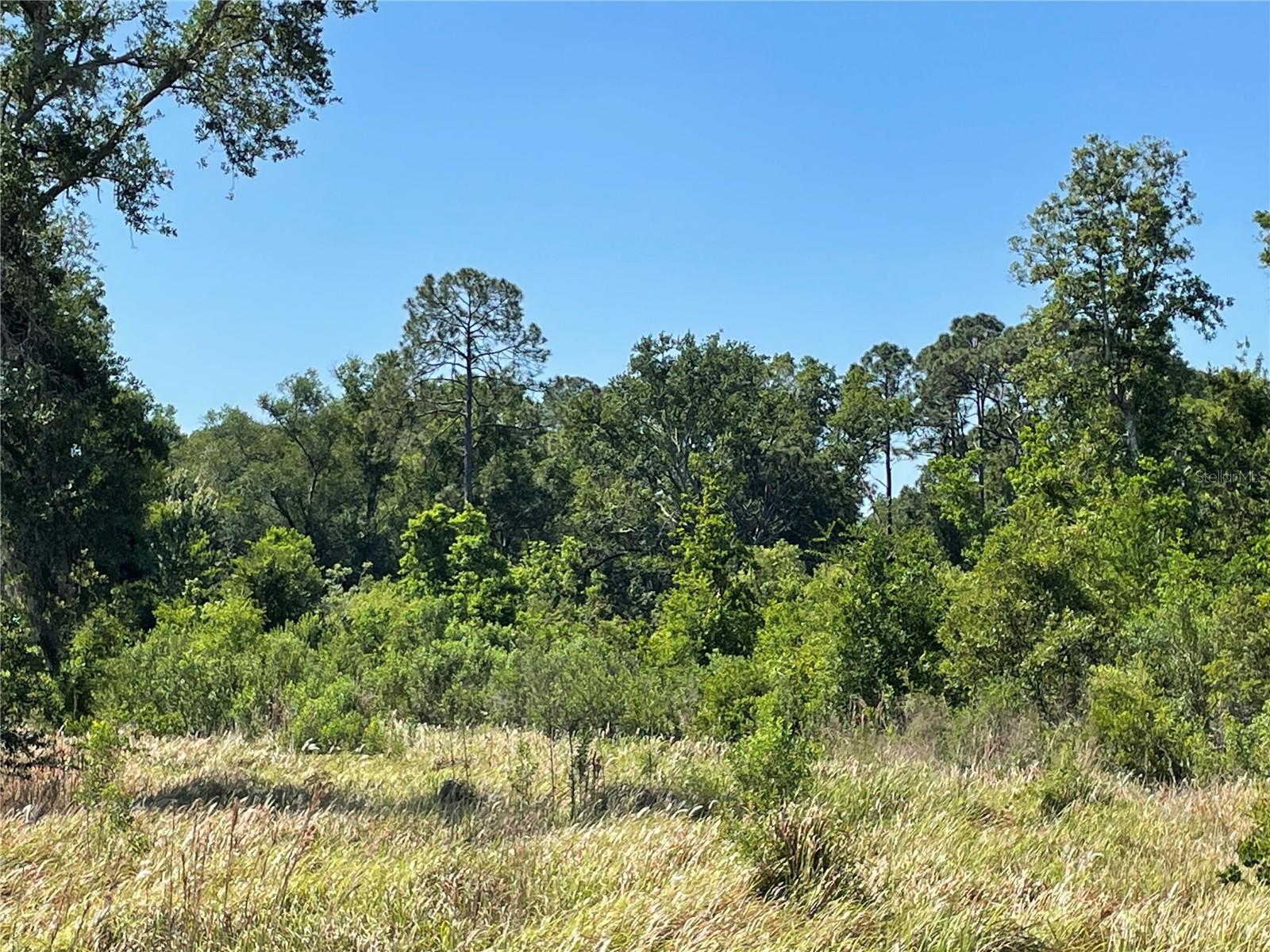 Avonwood, FL