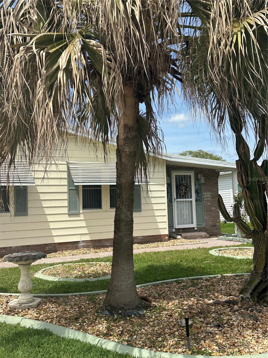 907 Orchid Street, FL