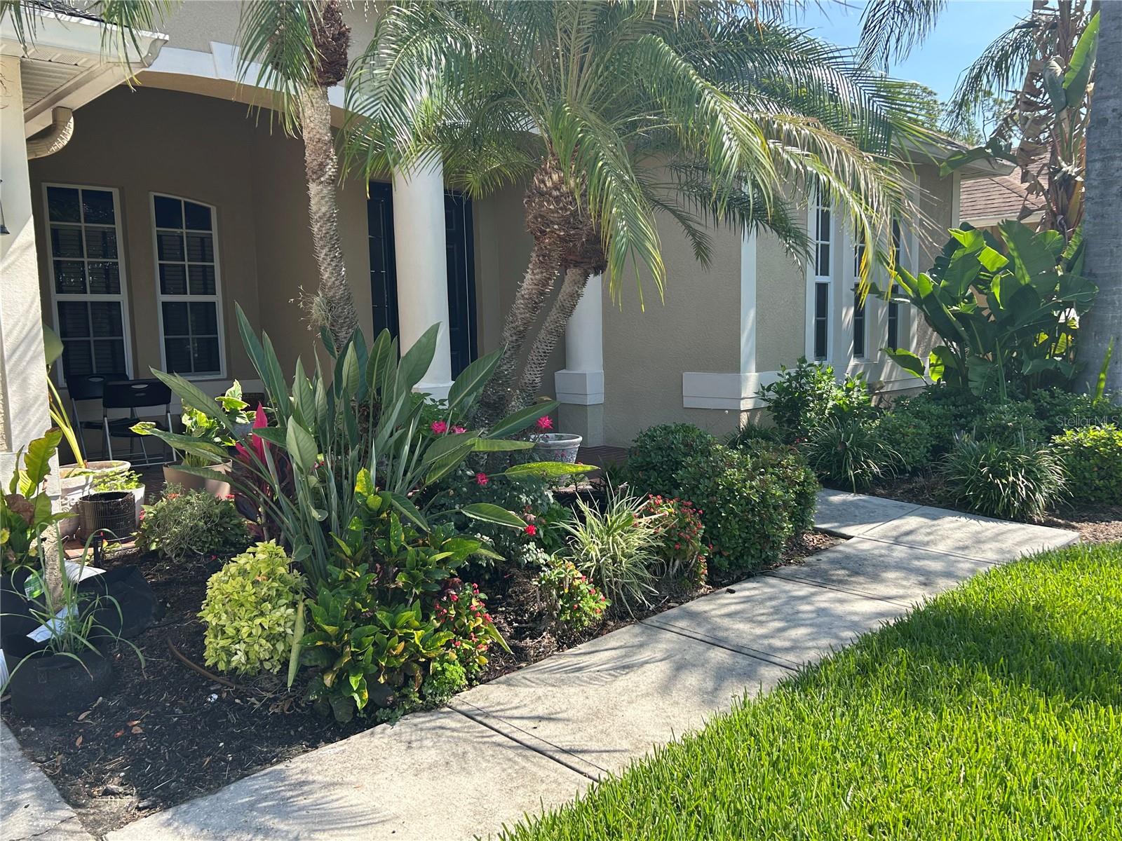 26612 Shoregrass Drive, FL
