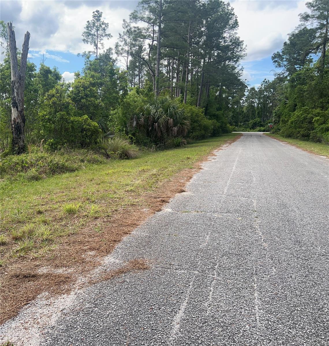 Banyan Street, FL