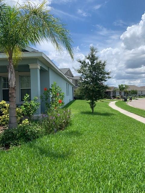 14072 Gold Bridge Drive, FL