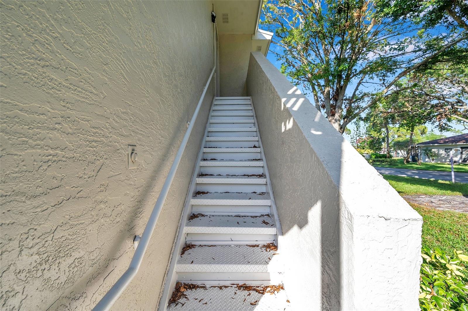 2937 Bough Avenue, FL
