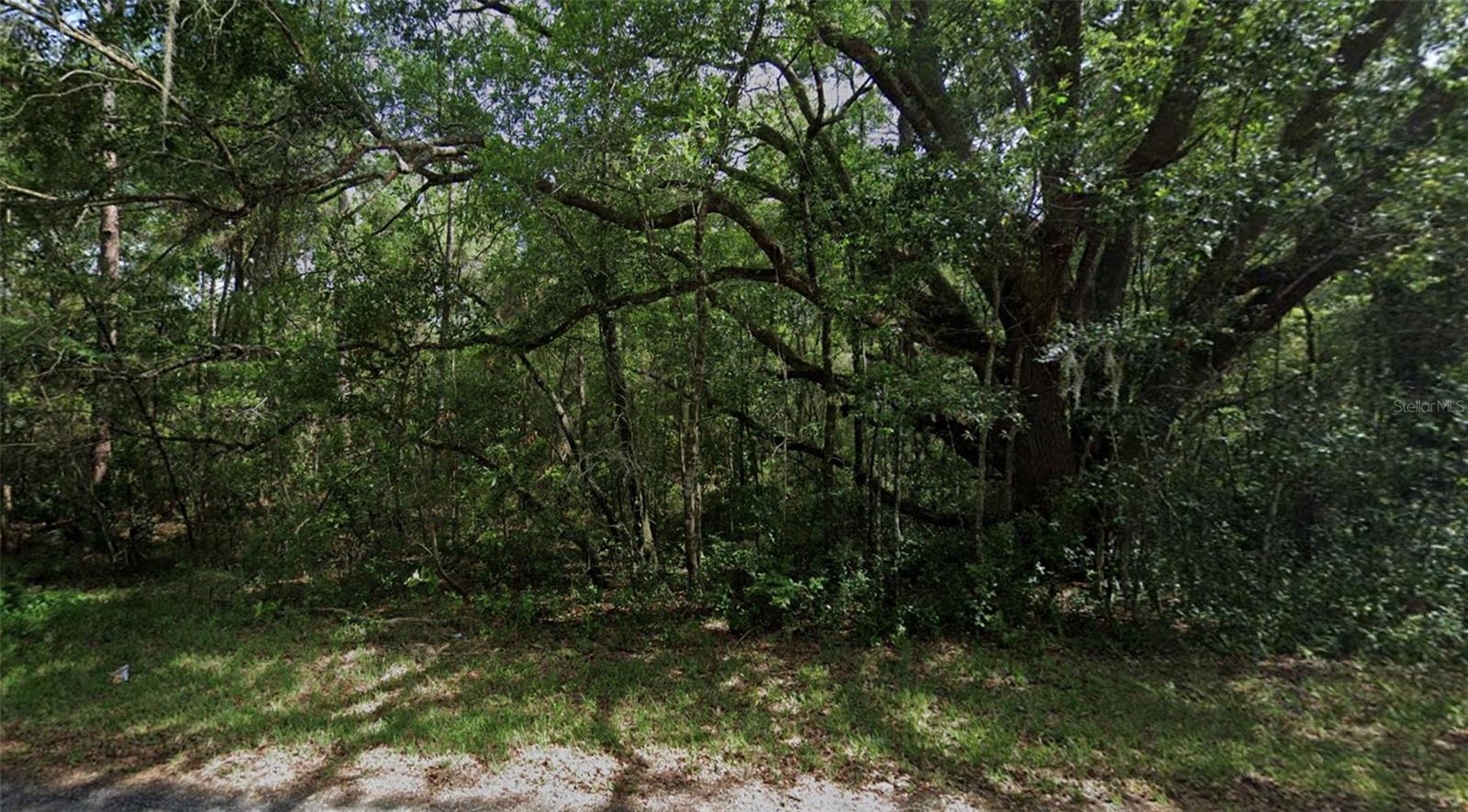 3958 Ryan Street, FL