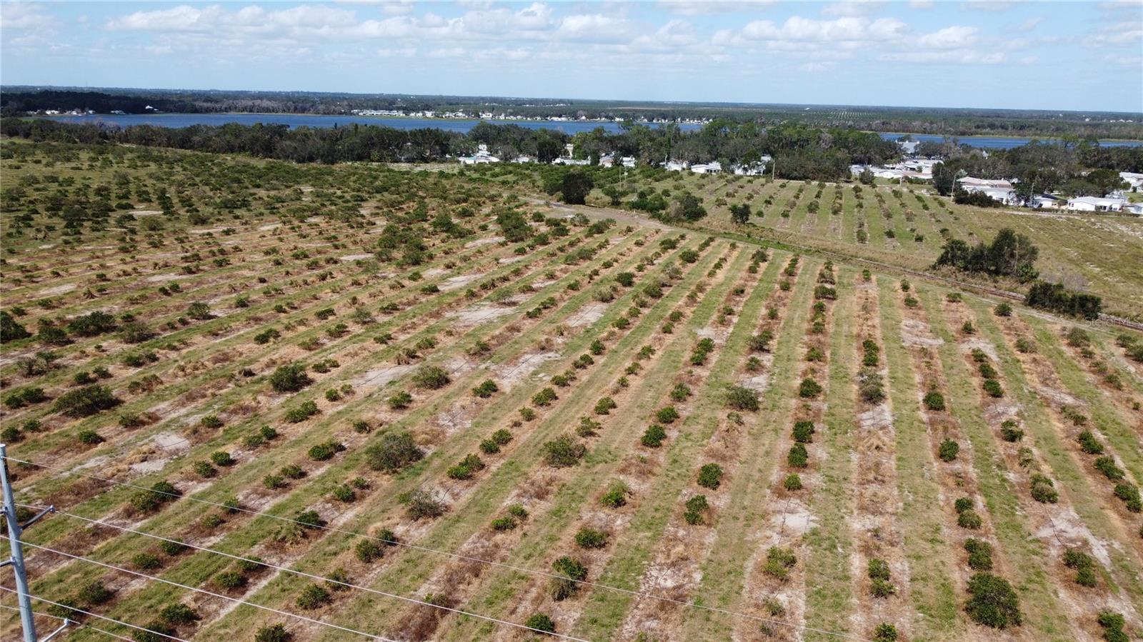 3162 Power Line Road, FL