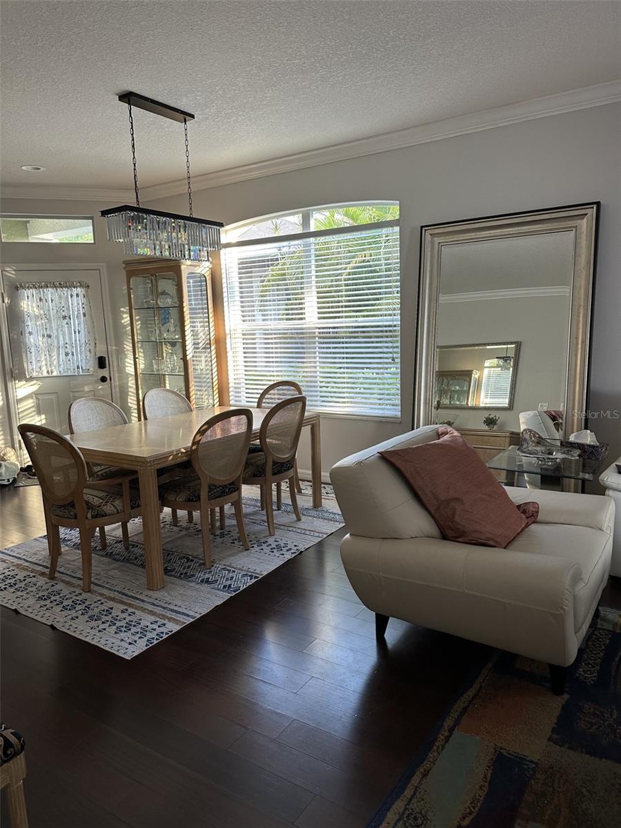 19113 Doves Landing Drive, FL