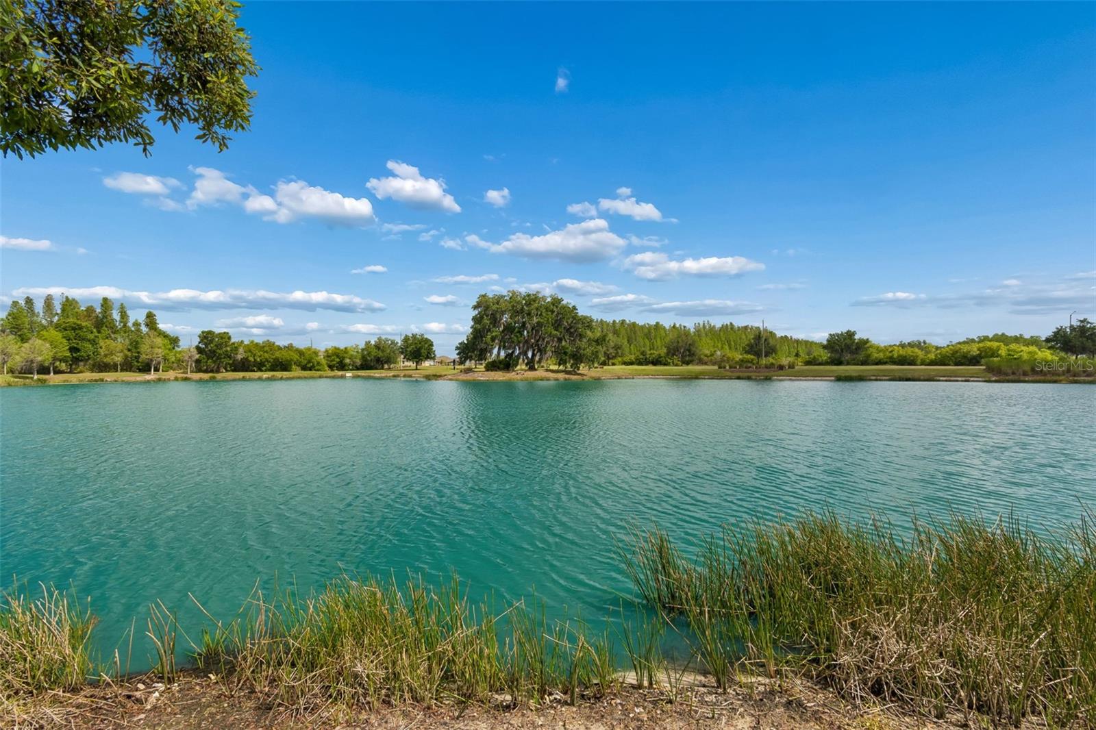 32237 Watoga Loop, FL