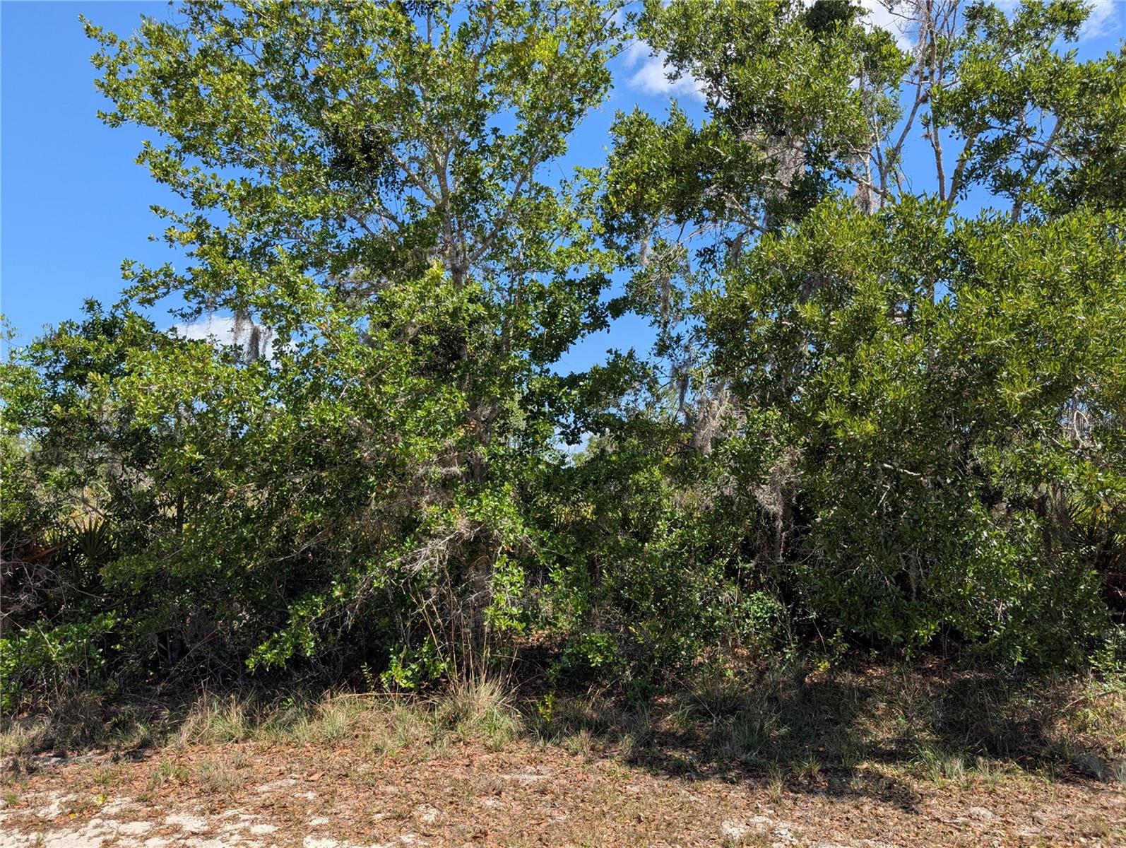 816 Bougainville Drive, FL