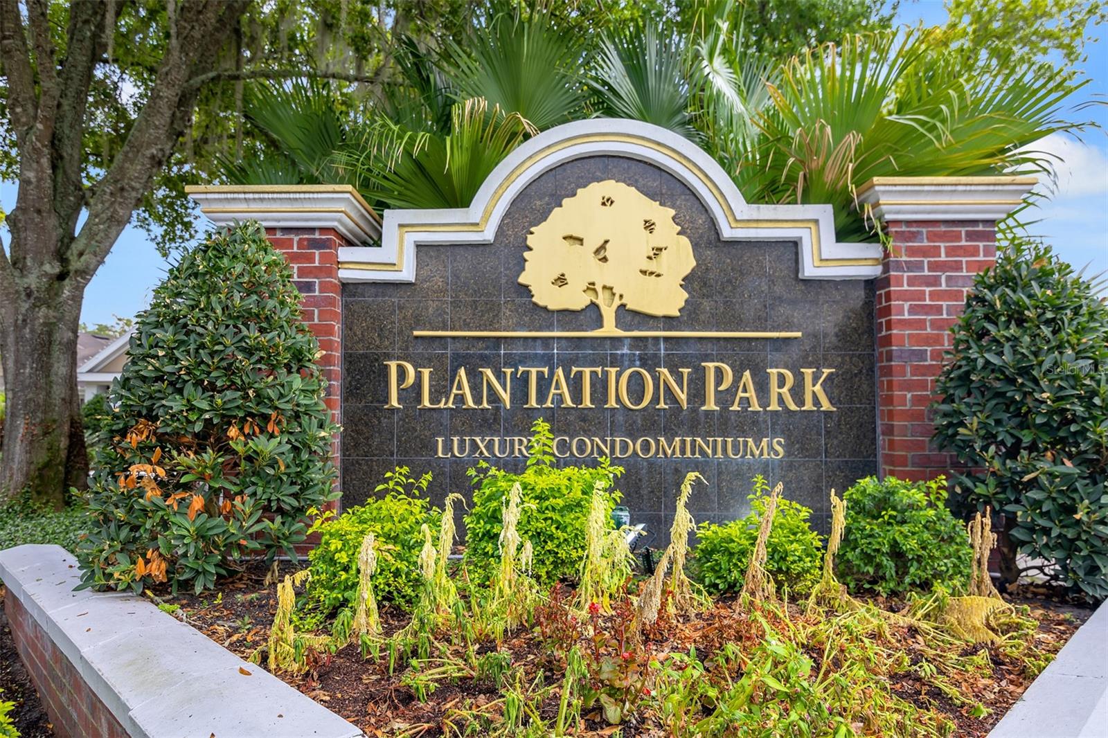 8301 Elm Park Drive, FL