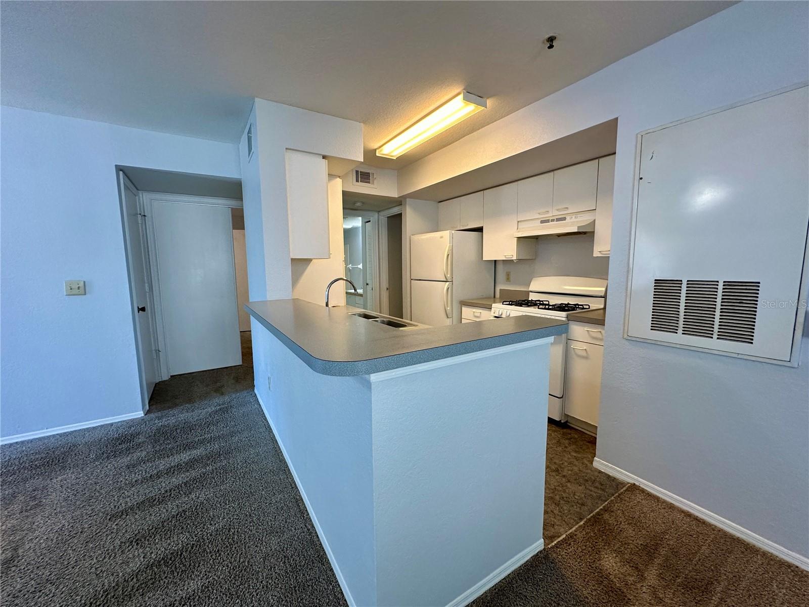 1610 Columbia Arms Circle, FL