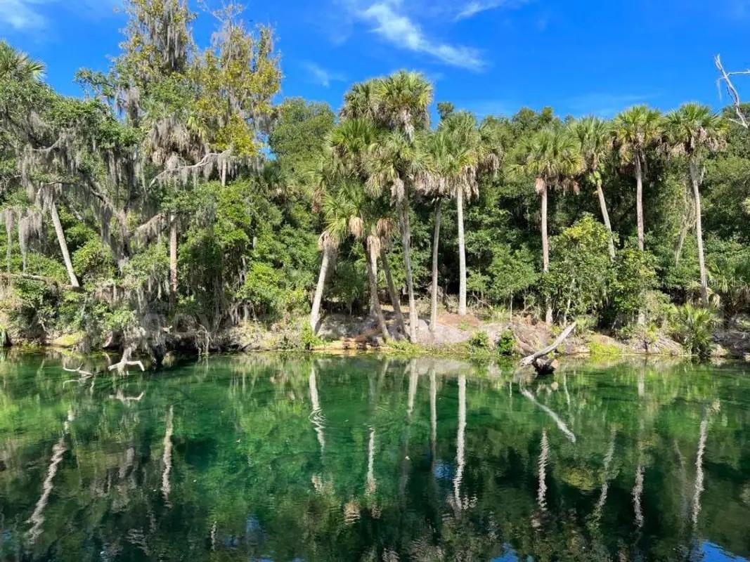 1 Werley Trail, FL