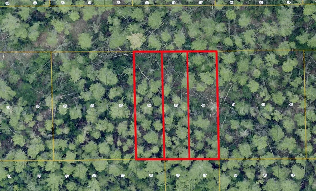1 Werley Trail, FL