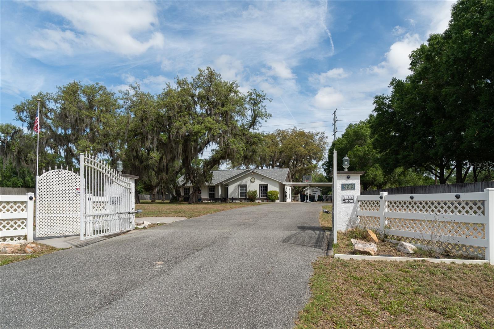 31919 Hedgerow Drive, FL