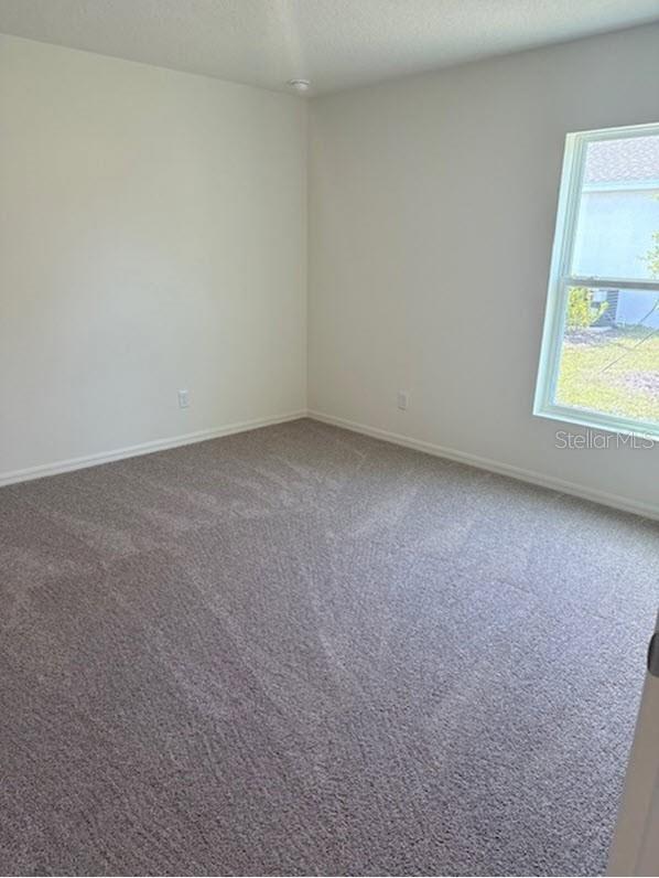 19 Birchwood Place, FL