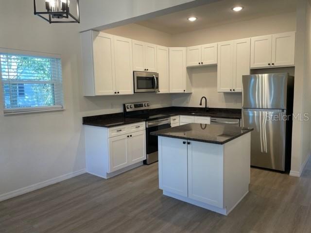 1482 Cleveland Street, FL