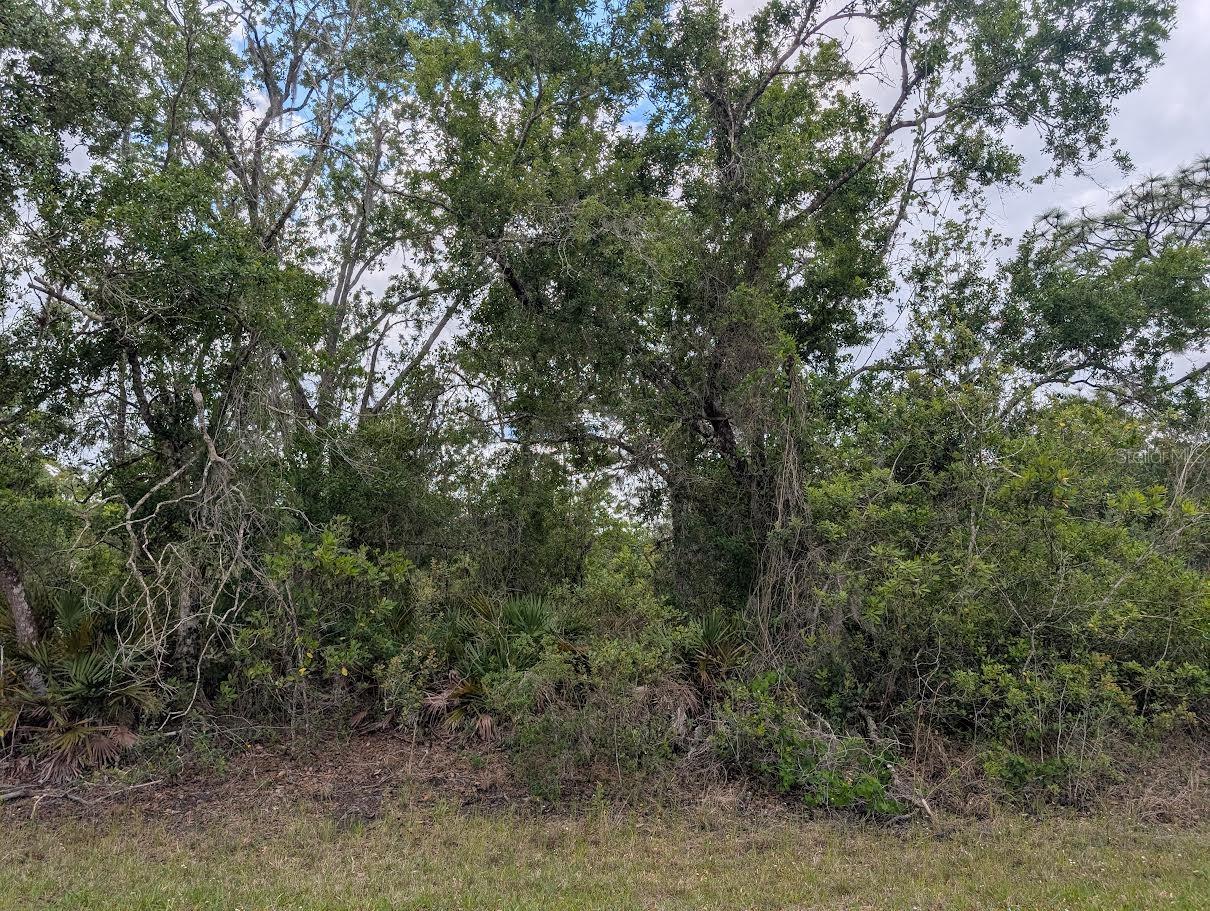 1009 Azalea Drive, FL