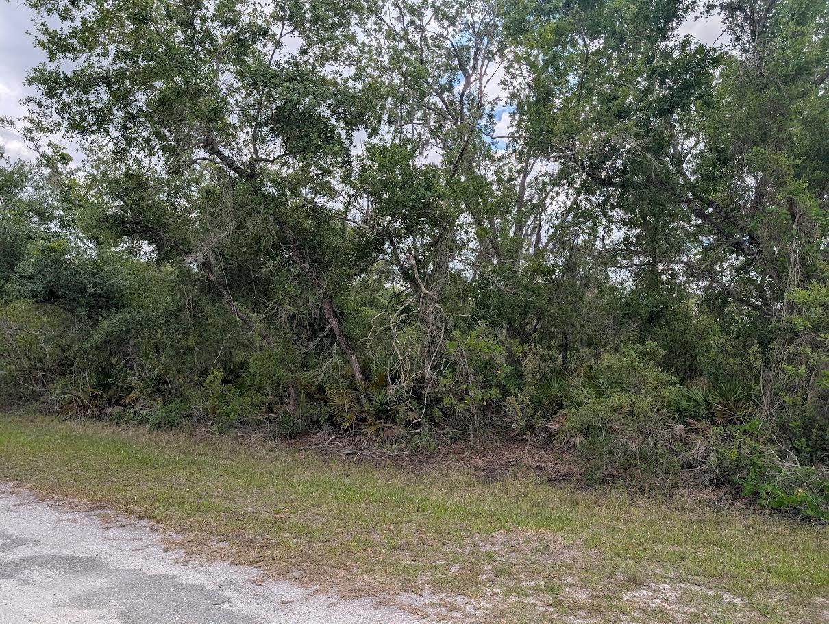 1009 Azalea Drive, FL