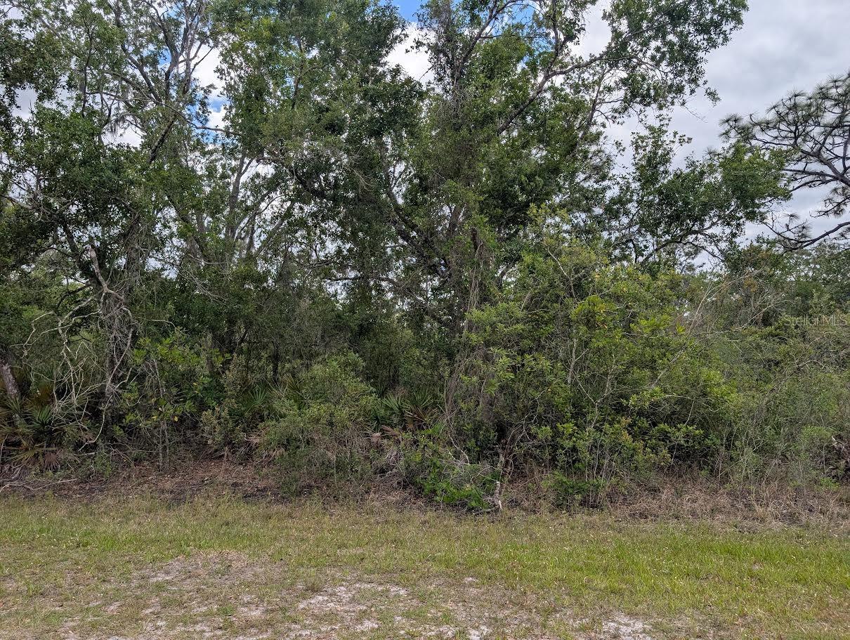 1009 Azalea Drive, FL