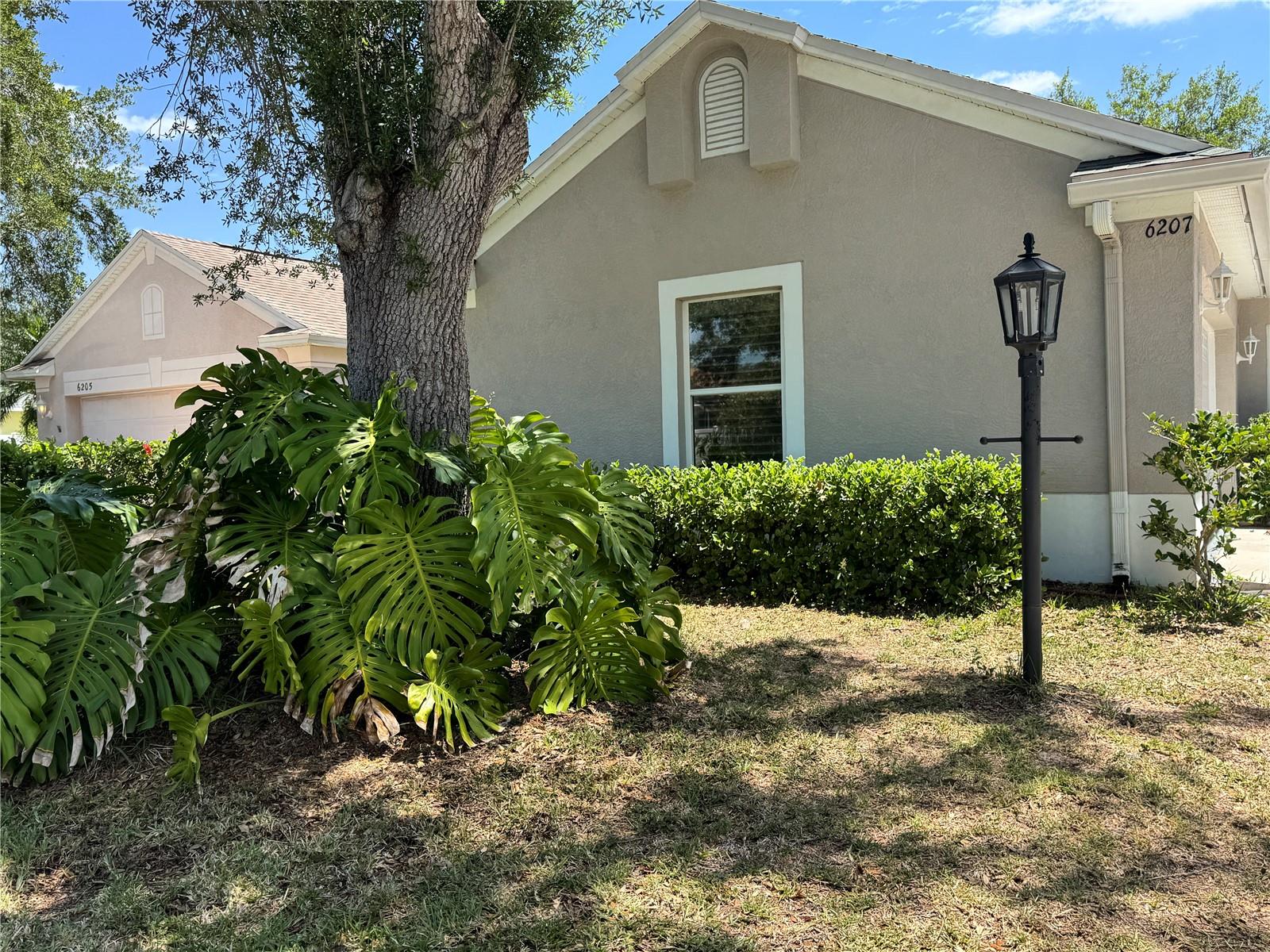 6207 Tupelo Trail, FL