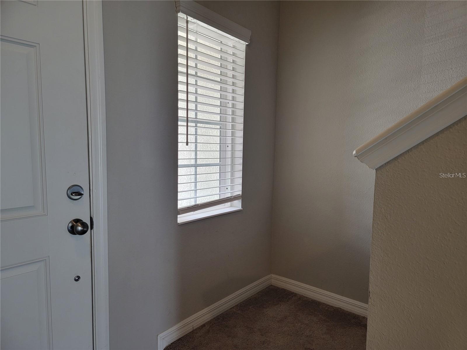 7113 Grand Elm Drive, FL