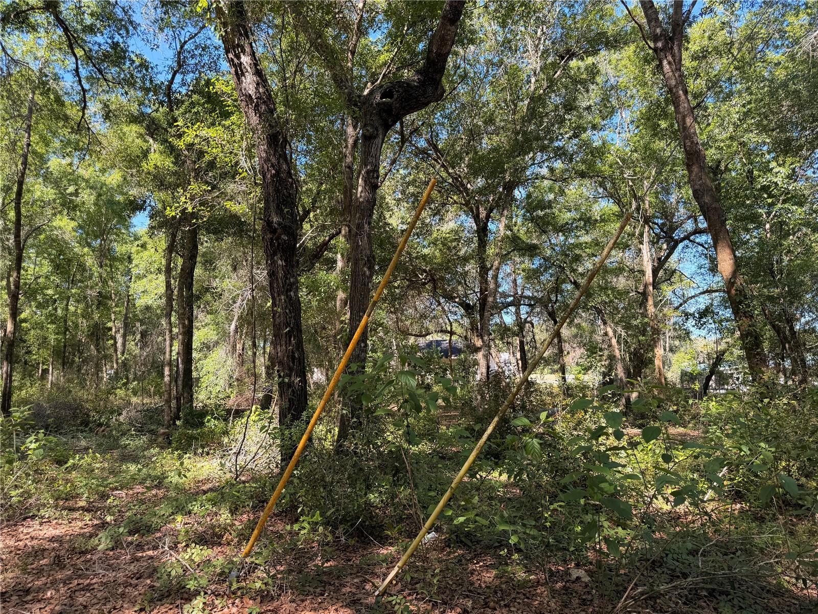 10185 Creekfield Road, FL