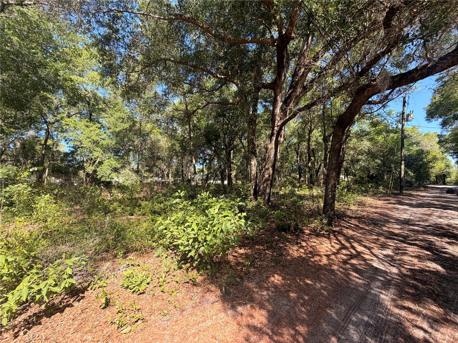 10185 Creekfield Road, FL