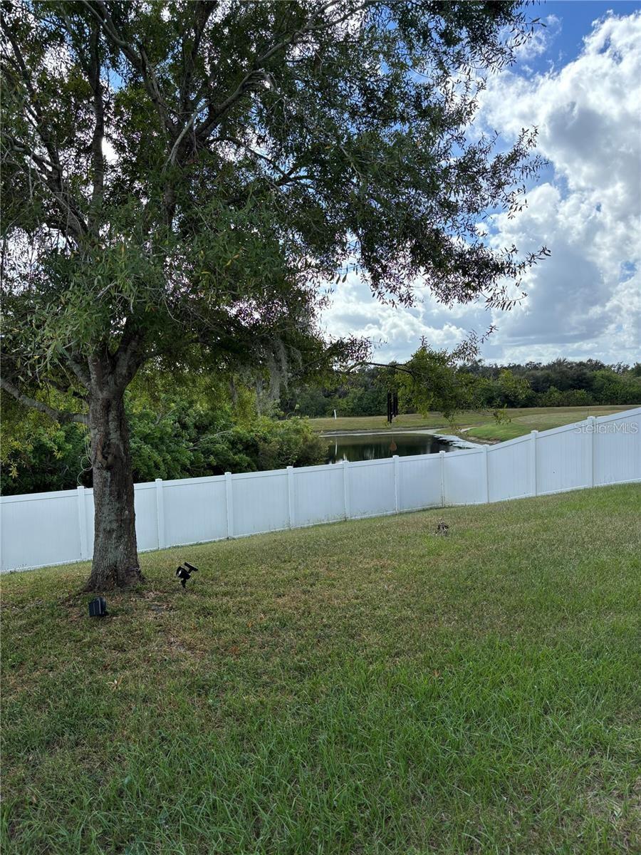 10742 Shady Preserve Drive, FL