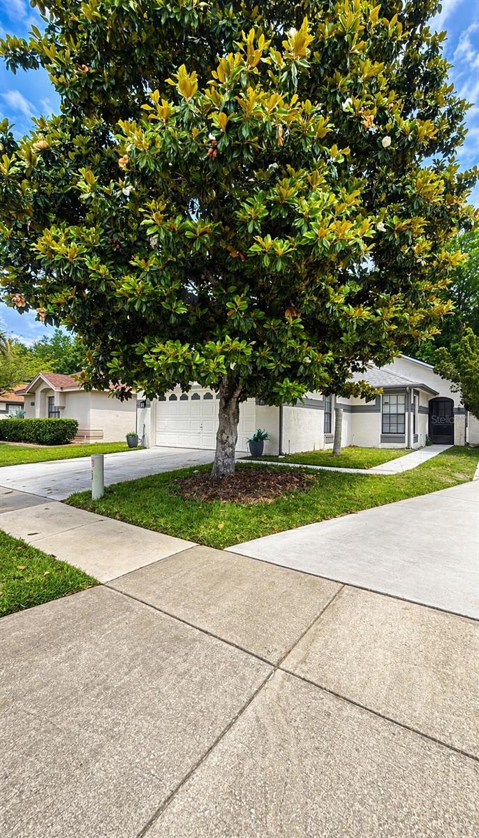 11529 Pumpkin Seed Court, FL