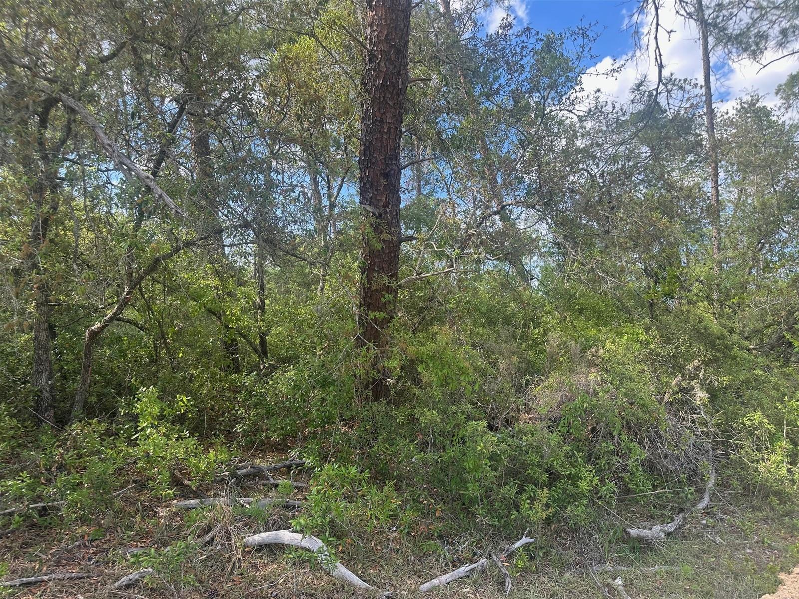 Lot 6 170th Place, FL