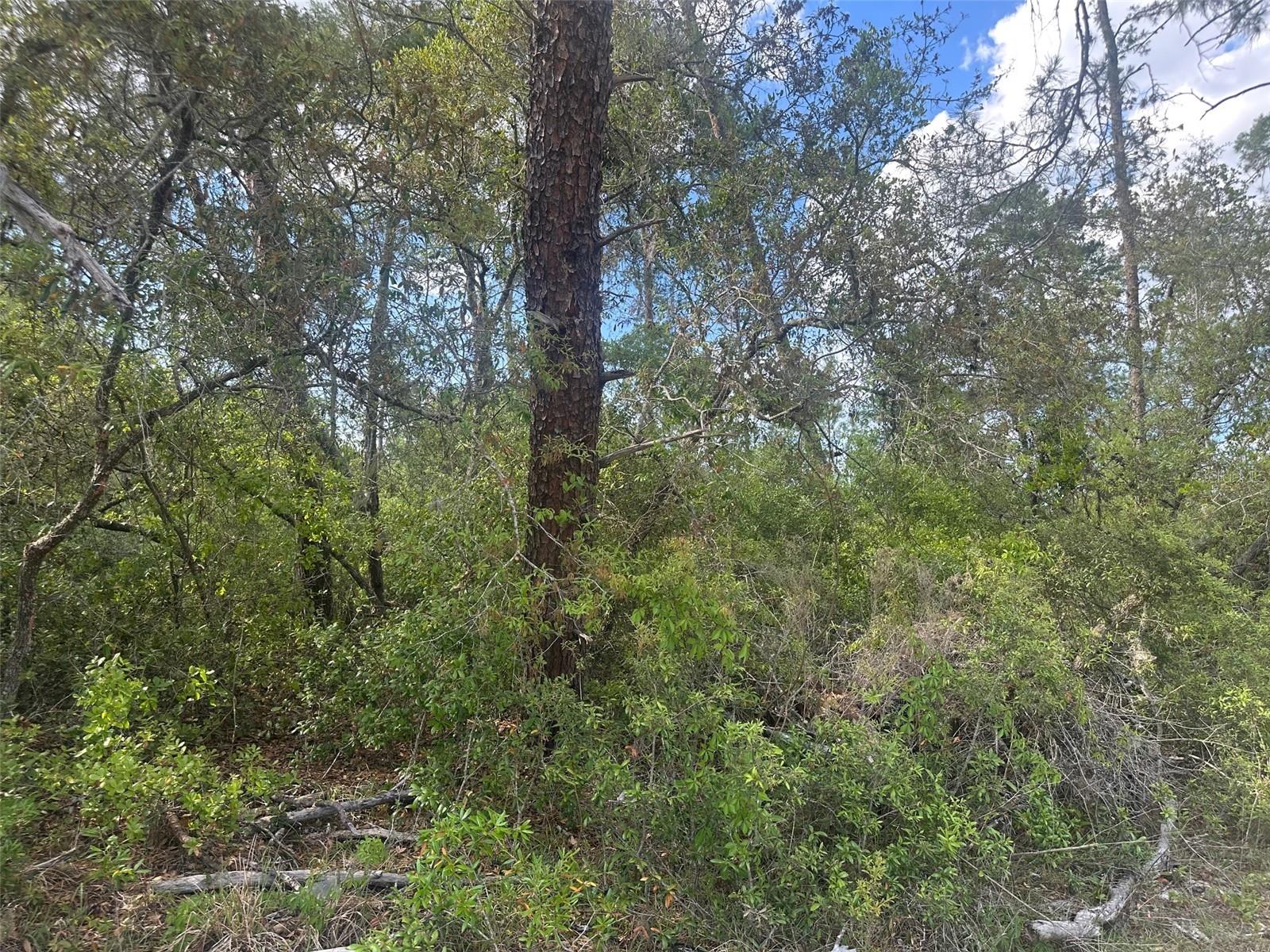 Lot 6 170th Place, FL