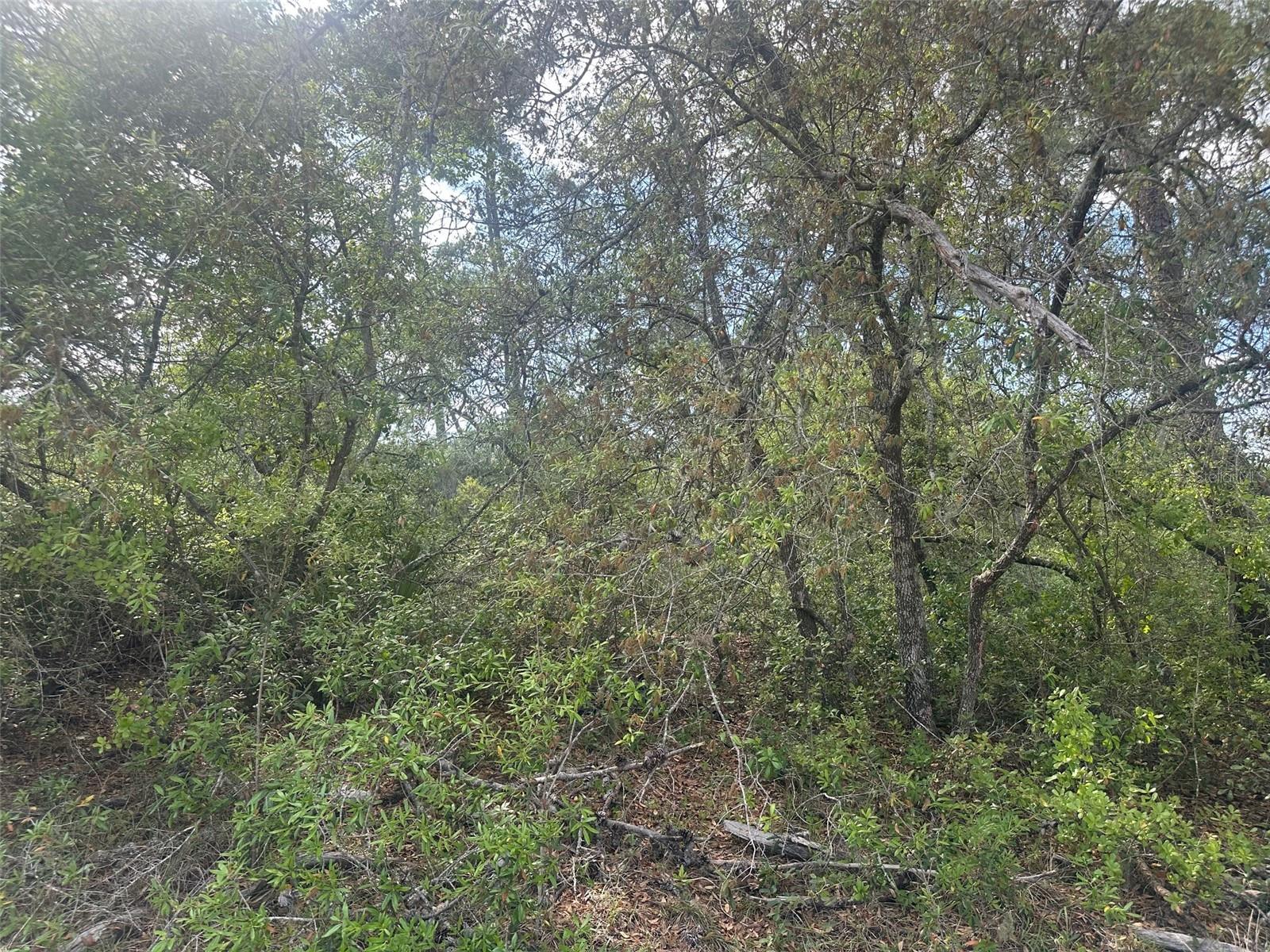 Lot 6 170th Place, FL