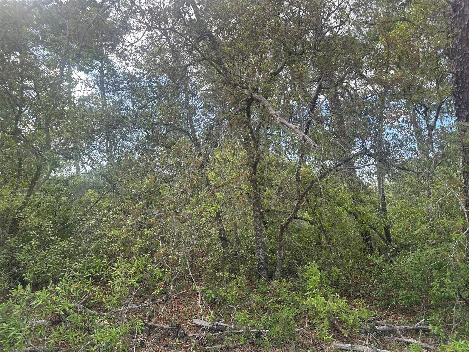 Lot 6 170th Place, FL