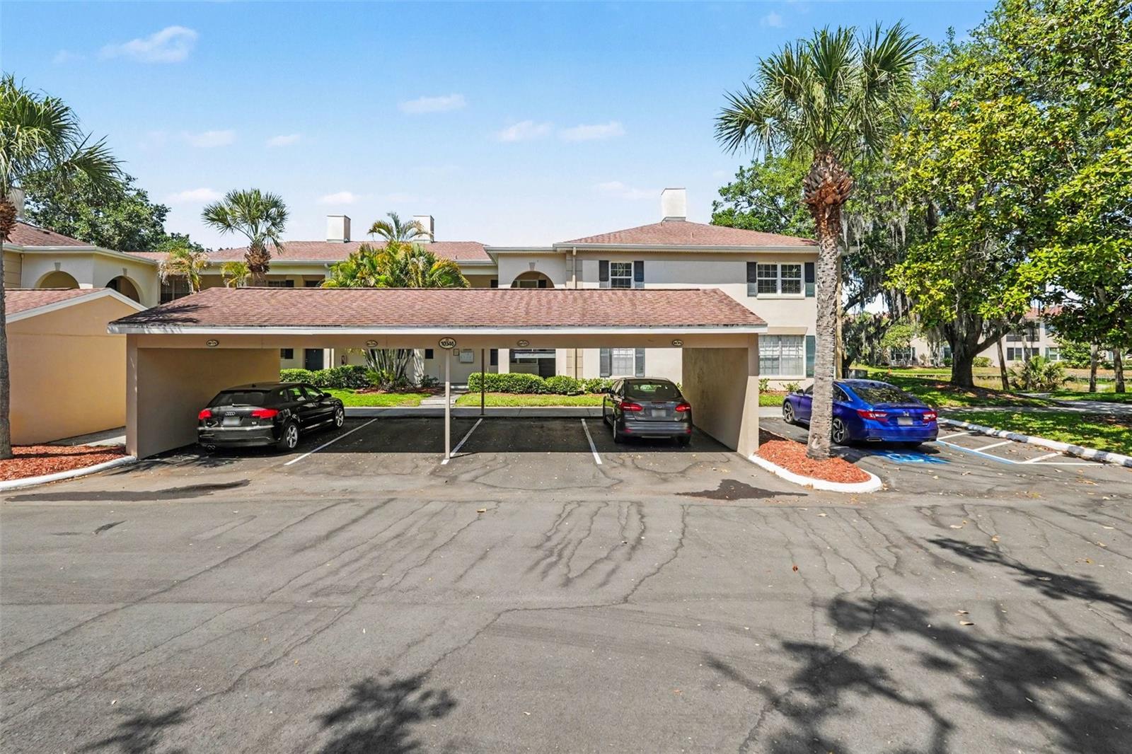 10346 Carrollwood Lane, FL