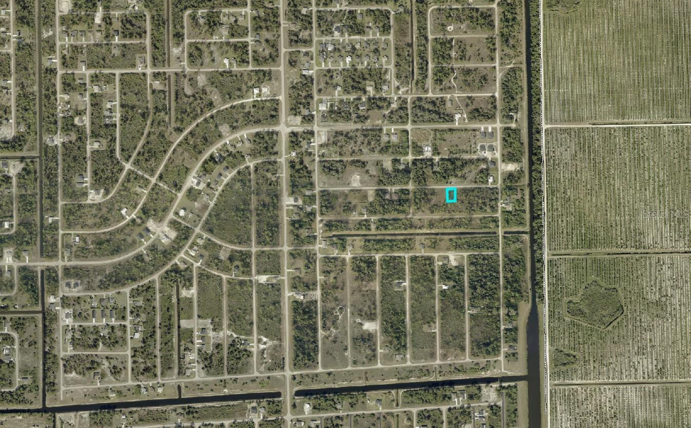 806 Genoa Avenue, FL