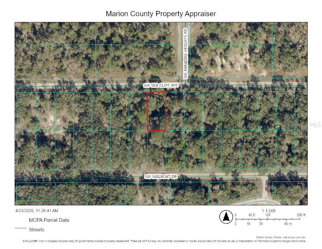 0 Sea Cliff Avenue, FL